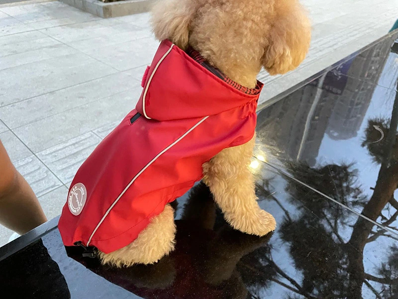 Chongxiaotan Dog Reflective Raincoat—Your Dog’s Safety Guardian on Rainy Days