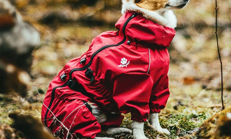 Pet Explorer Dog Four-Legged Hooded Jacket&mdash;All-Around Protection from Head to Toe