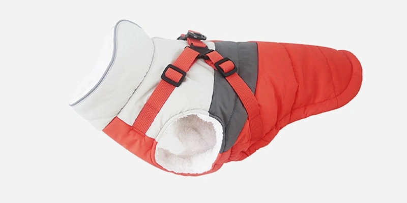 A Must-Read for Small Dog Owners: Tips for Keeping Chihuahuas and Yorkies Warm