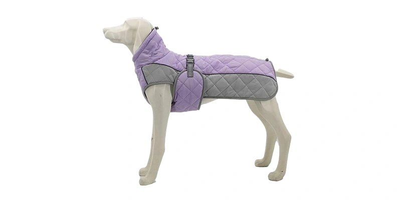 All-round protection in wind and rain: the Pet Explorer dog jacket with hood and sleeves is suitable for all situations