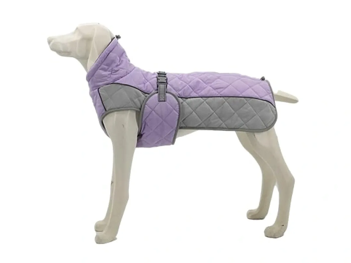 Walking Your Dog in the Rain Without Getting Soaked How to Choose the Right Waterproof Jacket