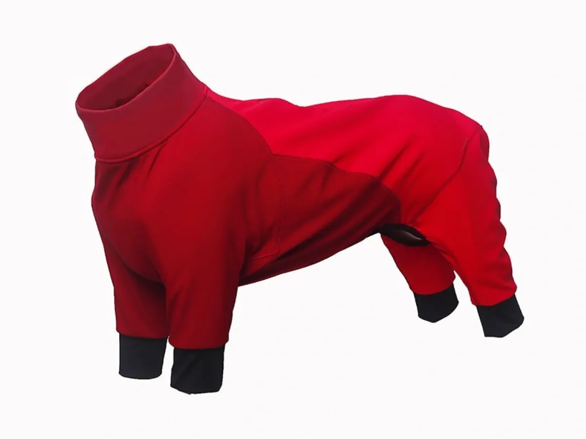 Outfits Exclusively for Short-Legged Dogs Pet Explorer’s Short-Sleeved Jacket Doesn’t Drag on the Ground or Get Stuck in the Crotch