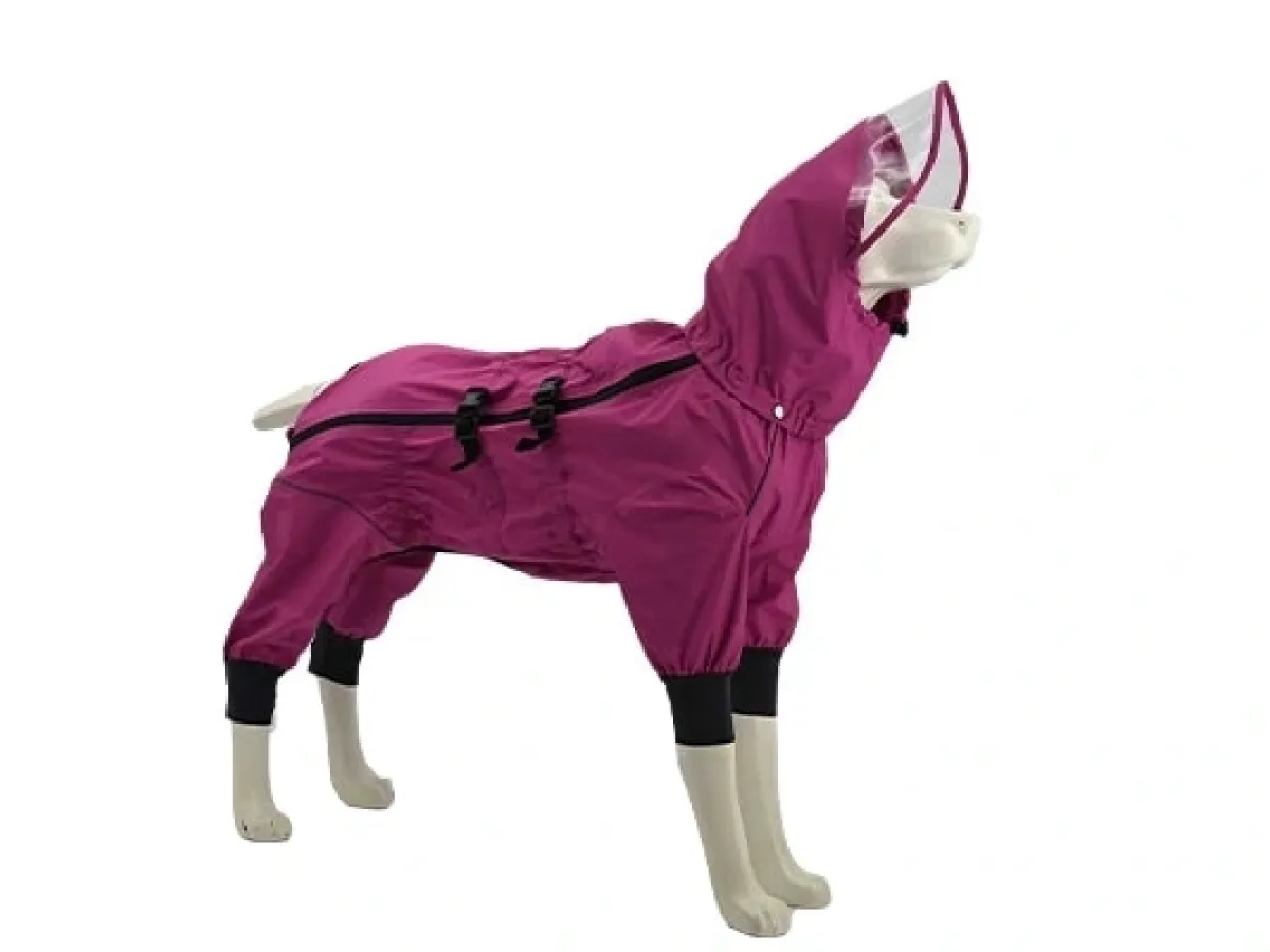 Frisbee Dog Outfits Athletic Outdoor Clothing That Doesn’t Hinder Running and Jumping