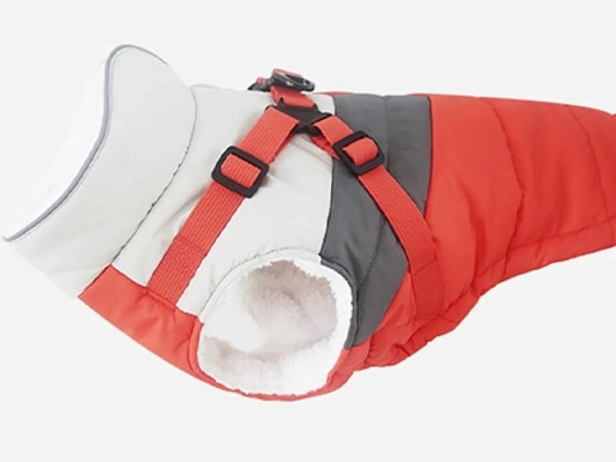 Guide to River Trekking and Water Play Quick-Dry, UV-Protective Clothing Designed for Water Activities